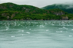 DSC02370