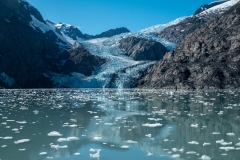 Glacier and Icefield